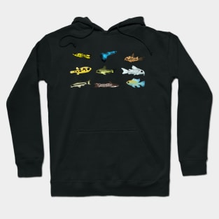 Aquatic Cuties Hoodie